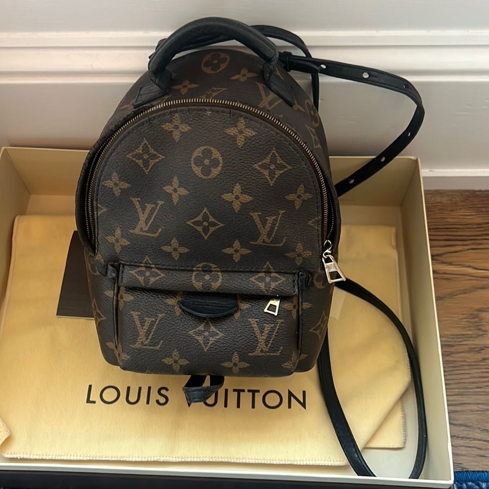 AUTHENTIC Louis Vuitton Palm Spring Mini Backpack